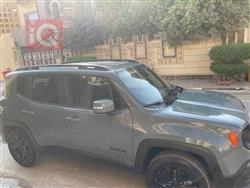 جيب رينيجيد